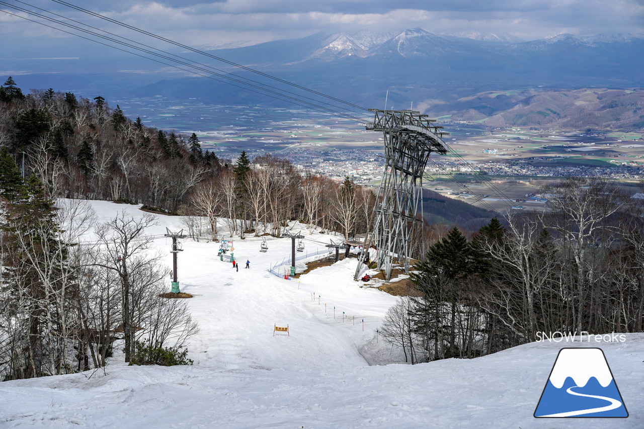 富良野スキー場 のんびりとした雰囲気漂う春のゲレンデ。そこに、サプライズゲスト・プロスキーヤー山木匡浩さん登場！